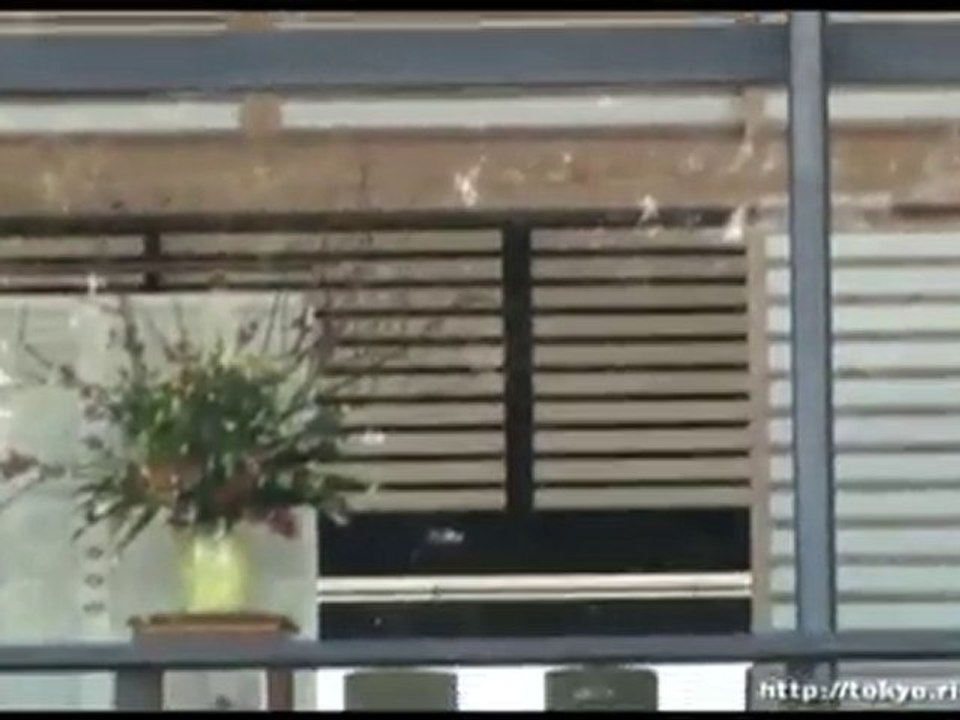 東京皇宮,長和殿外