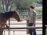 Leadership Training & Experiential Learning w/ Horses -Irvi