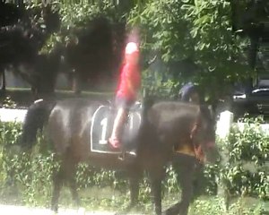 Zeynep Nil'in ata biniş macerası