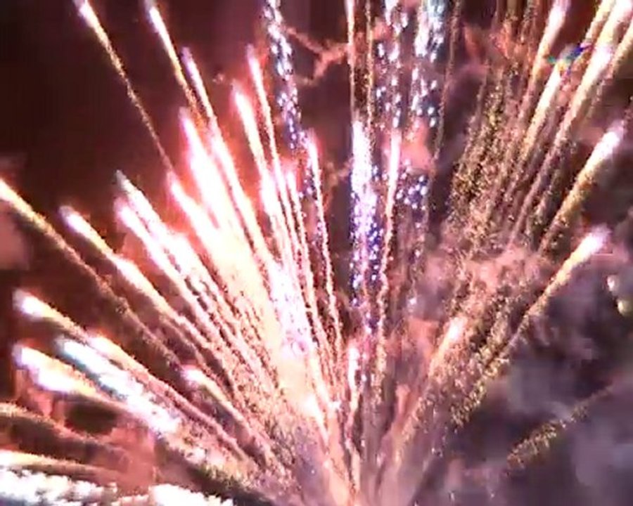 14 juillet 2010 : Francophonie sur Seine