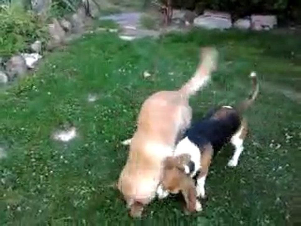 Vidéo0019