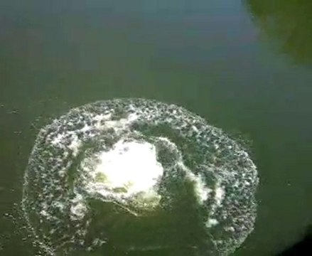 saut du pont des biards! (popiette)