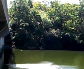 Saut du pont des biards (ptit machin 2)