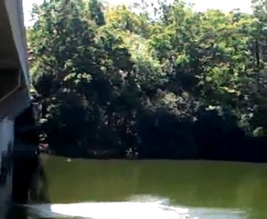 Saut du pont des biards (ptit machin 2)