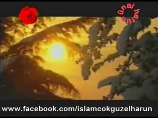 Müptelânım Yâ Rasûl (S.A.V.)