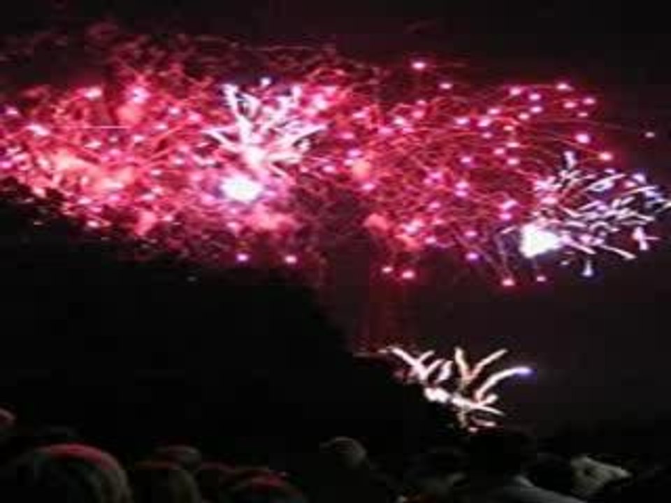 Feu d'artifice Paris (3)