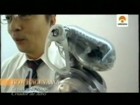 Japon: Perros robot (Aibo)