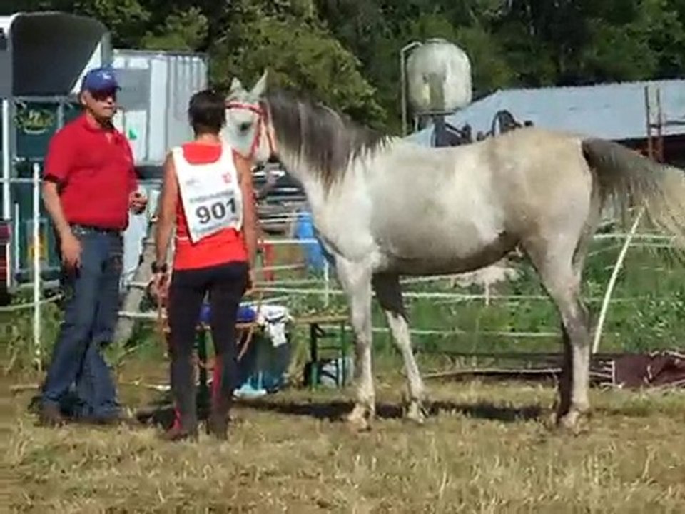 trotting final 1ère 90km