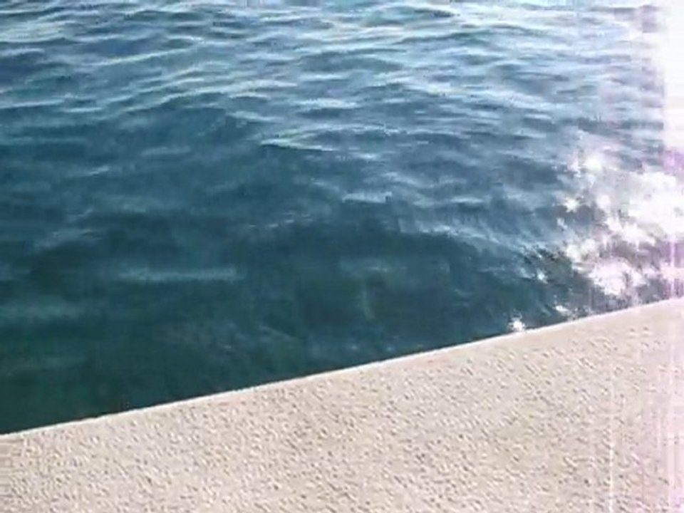 orgues marins croatie