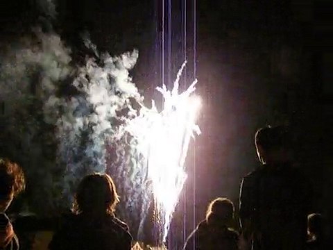 Feu d'artifice de Saint Palais sur Mer