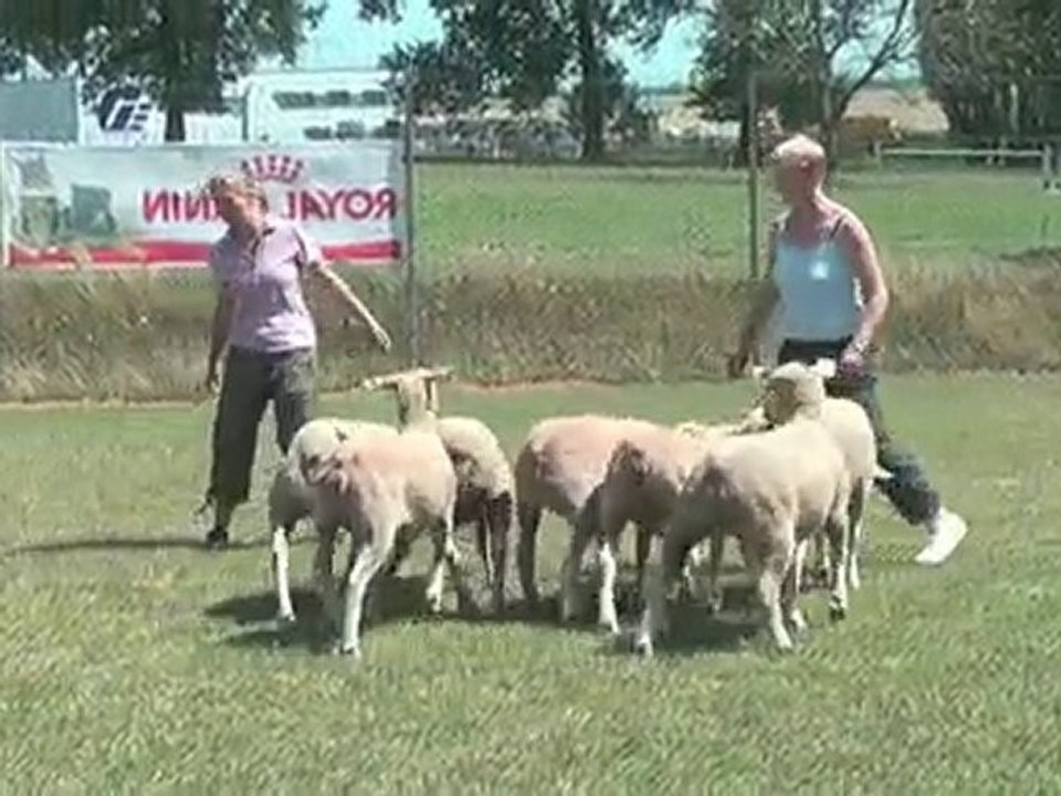 Des Bearded à SOLESMES