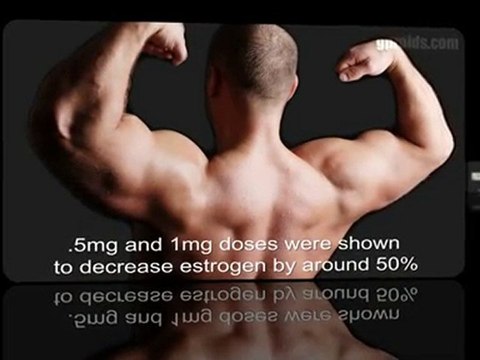 Arimidex - Steroid Profiles