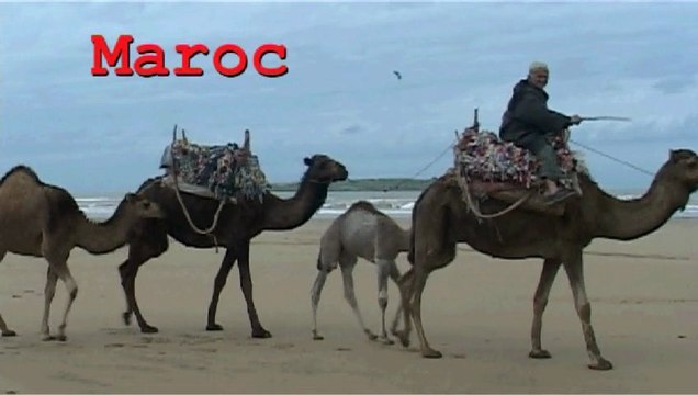 Voyage photo au maroc avec ForMaroc- Riad Zahra -Essaouira -Maroc