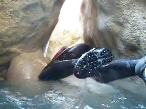 Rio Vero The Chaos 2