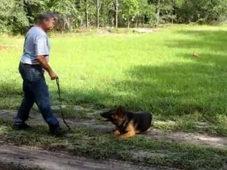 Slovak Obedience Commands; Pronunciation