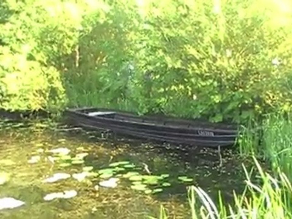 An einem warmen Tag im Wald