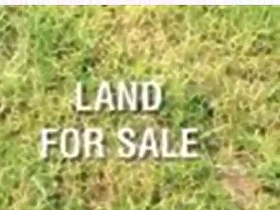 Homes for Sale - 17405 Hayes St - Lowell, IN 46356 - Coldwel