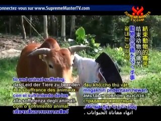 Moby: Truths of the Golden Rule and “Gristle” - P1/2