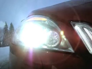 Driver Distracted By Streaker, Saved By Auto Brake