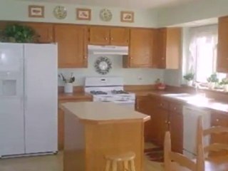 Homes for Sale - 704 Terry Ln - North Aurora, IL 60542 - Col