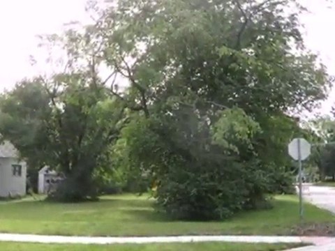 Homes for Sale - 939 N Main St - Naperville, IL 60563 - Cold