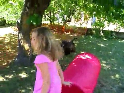 réunion d'Accolay 18.07.2010 séance d'agility