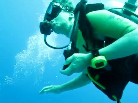 Plongée à Safaga 14 juillet 2010 (Tortue)