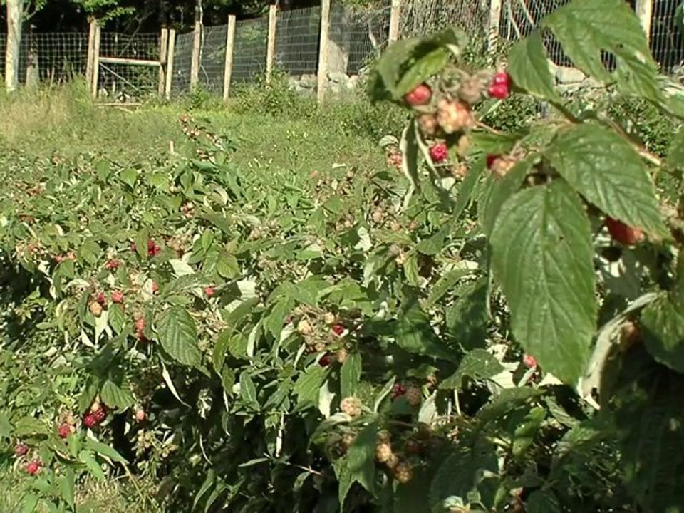 Amawalk Farm