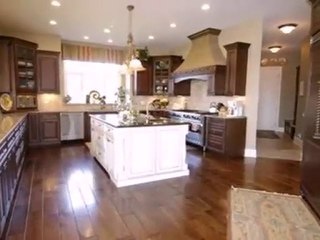 Homes for Sale - 28317 Gray Barn Ln - Lake Barrington, IL 60