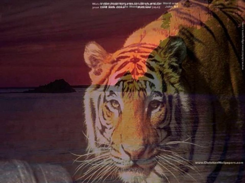 Better than life - STKM 2010