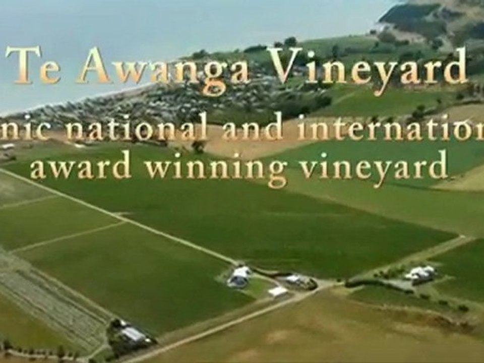 Te Awanga Vineyard for Sale