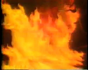 Smokey Bear- Bambi (1968)