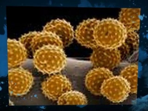 Mold Spores Mansfield OH