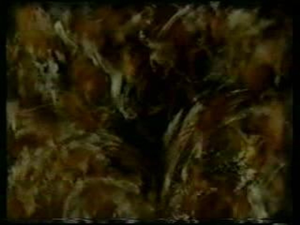 Francis CABREL , Petite Marie live 1991