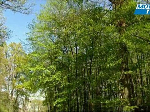 Essai auto JAGUAR XJ