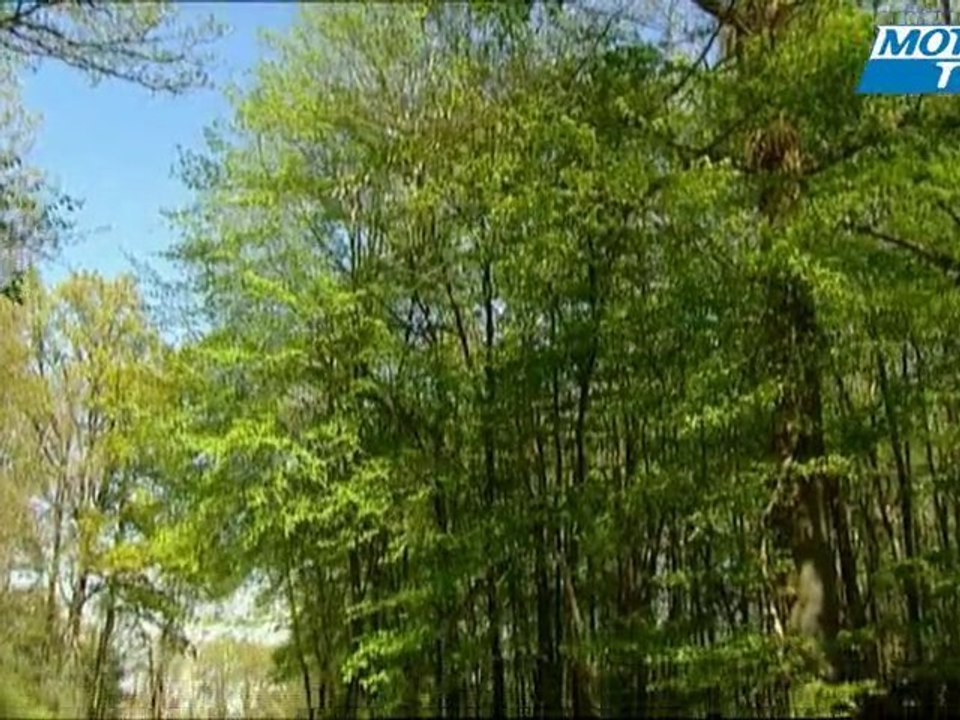 Essai auto JAGUAR XJ