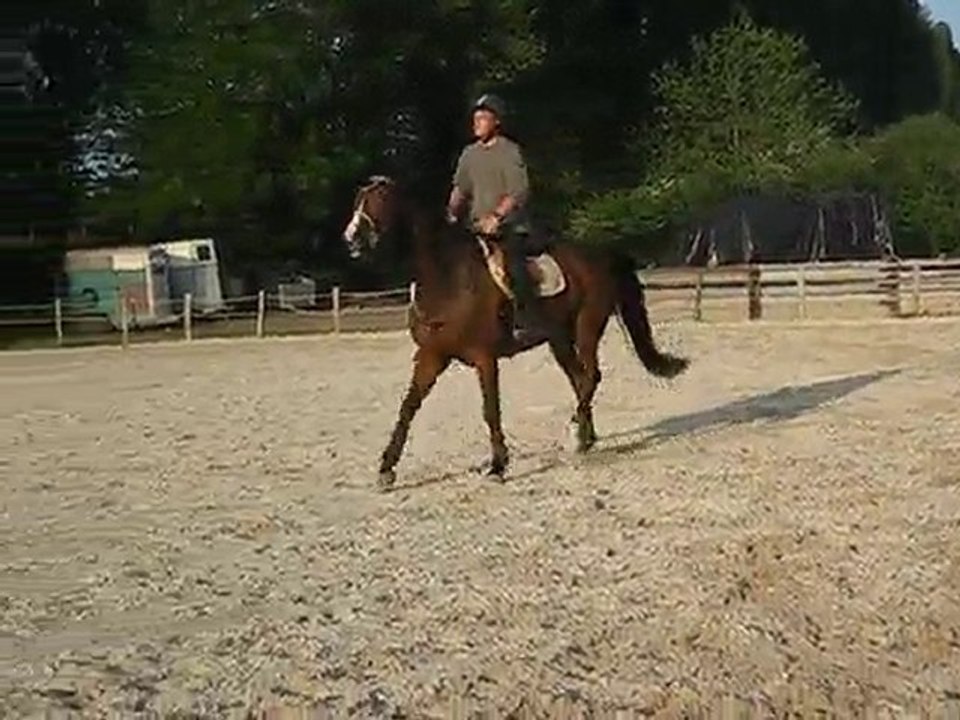 milou plat 20 05 2010
