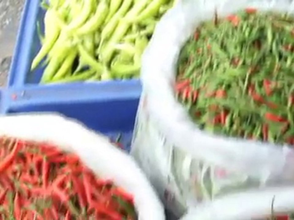 Bangkok City Safari - Exotissimo