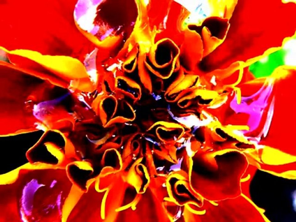 Best Flower Photos Online [Best Flower Photo Online]