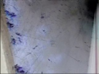 Magal - A Flower Open Wide