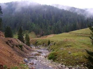 Doğankent doymuşköyü Abadan törnük yaylası foto klipler