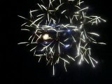 029 feu d'artifice 14/07/2010