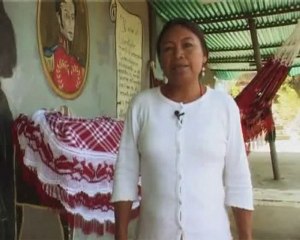 Lecciones de manipulación:   "Los guardianes de Chávez".V