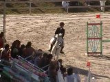 Championnats de France poney 2010 : CSO