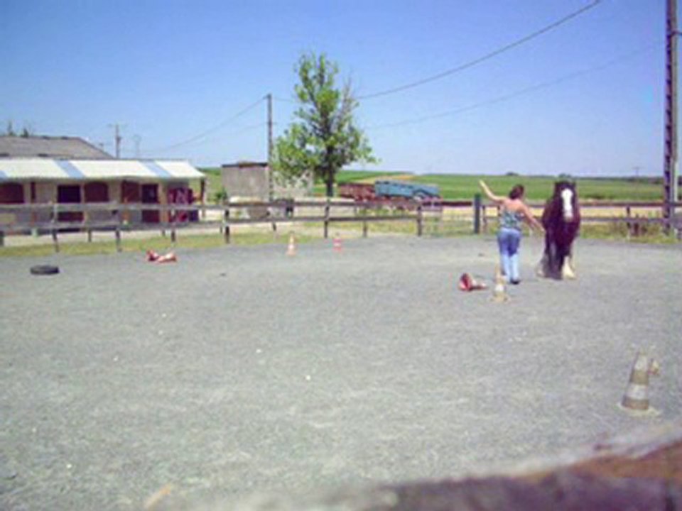 Travail à pieds 2010