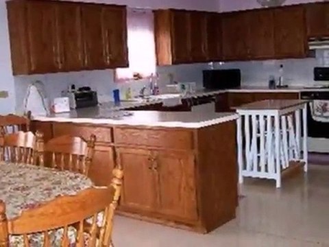 Homes for Sale - 3112 Helfred Ave - South Chicago Heights, I