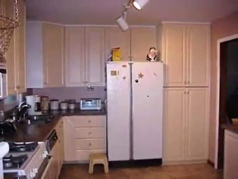 Homes for Sale - 450 White Pine Rd - Buffalo Grove, IL 60089