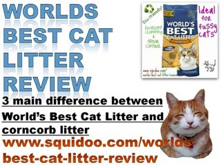 Worlds Best Cat Litter Review Video