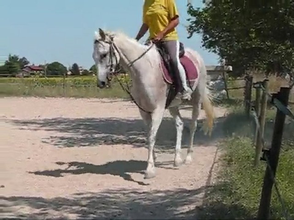 KAMOK 1