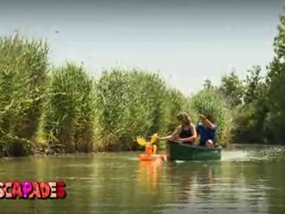 Escapades : A Notre Dame-de-Monts (Vendée)